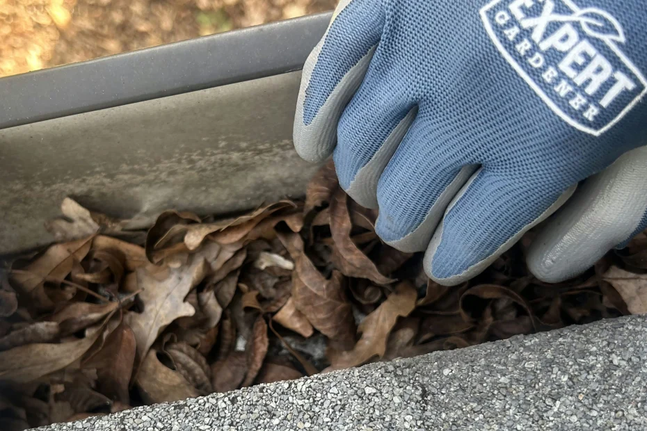 Gutter Cleaning Collingswood