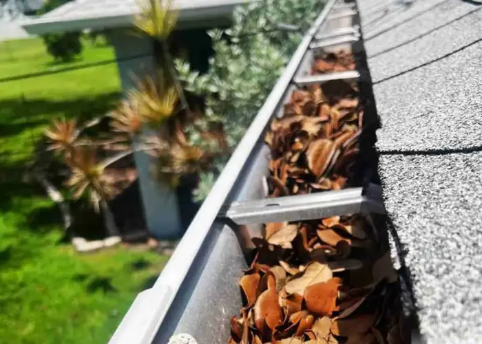 Gutter Cleaning Collingswood home page